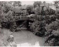 Gardiners Creek in the1950s 