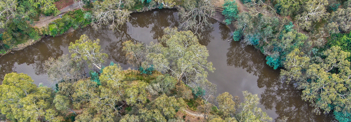 Aerial view of the river and trees along the bank in Boroondara