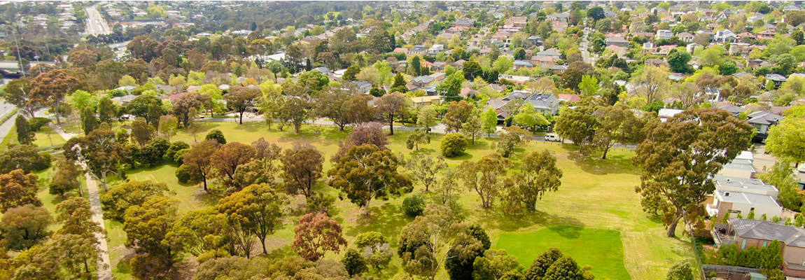 aerial photo of many trees in varying colours of foliage