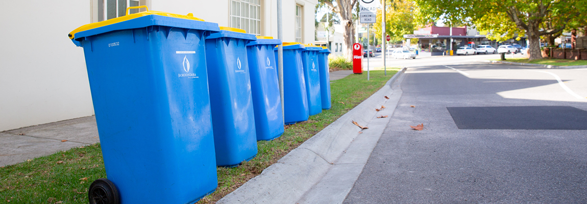 A line of bins along the kerb on the street