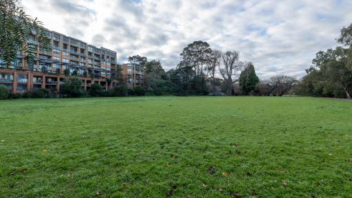 Large grass area with uneven areas of grass in the foreground. There is a multi-storey apartment block to the far left and tall trees in the distance.