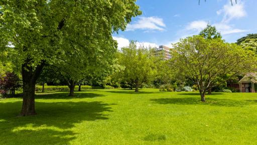 Grass area with several large scattered trees. There is a small hedge to the left, a house-shaped building to the right and a multi-storey building is in the distance.
