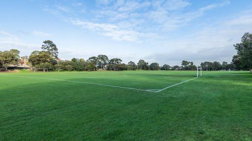 Corner view of soccer pitch with goals at each end and white line markings. There are three more adjacent soccer pitches in the background and trees on the horizon.