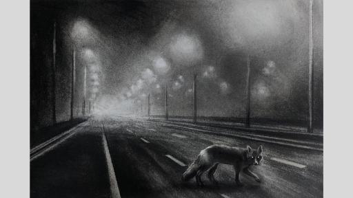Black and white charcoal drawing of a fox crossing empty car lanes at night. The fox’s eyes are illuminated, and streetlights line the outer car lanes.