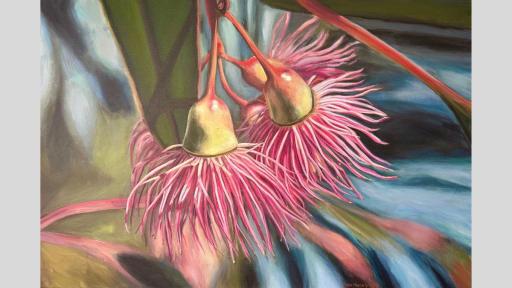 Painting of gumnuts in bloom with light, narrow, pink petals, and green gum leaves. The background is blurred with light green, pink, blue, and white colours used, suggesting a natural setting, likely another flowering bush