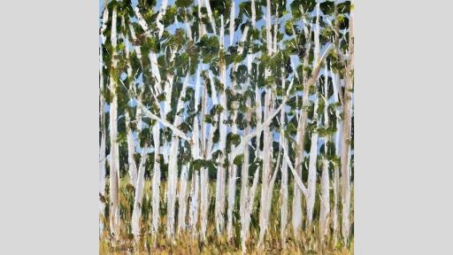 Oil painting of a cluster of trees with white trunks. The trees are in a field of green and yellow grass. Beyond their green foliage, a clear blue sky. The painting style is loose and sketch-like.