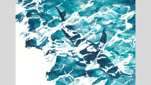 Watercolour painting of a shark under water. The perspective of the work is looking down at the shark. The shark is dark blue and featureless as the water ripples above it, forming white foam that obscures the shark in places.