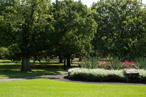 Surrey Gardens