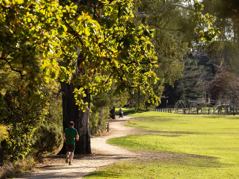 A jogger runs along a path in a park with trees on his left and a playing field to his right. 