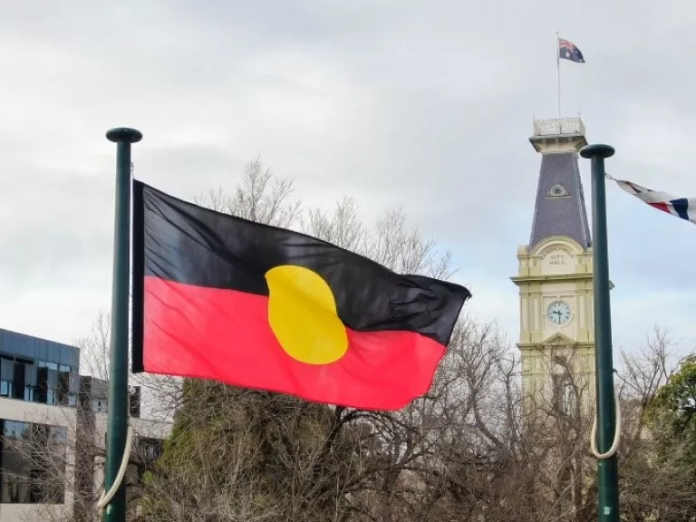 Aboriginal flag