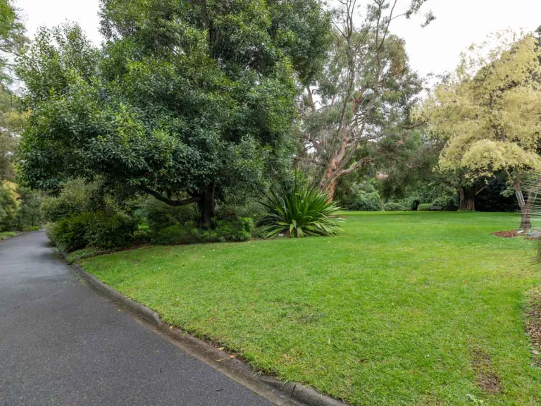 Grass area with a diverse selection of medium-sized trees and a walking path to the left.