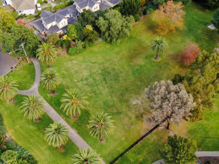 Aerial view of rectangular grass area surrounded by a variety of trees. There is a walking path and a line of palm trees to the left and houses at the top.