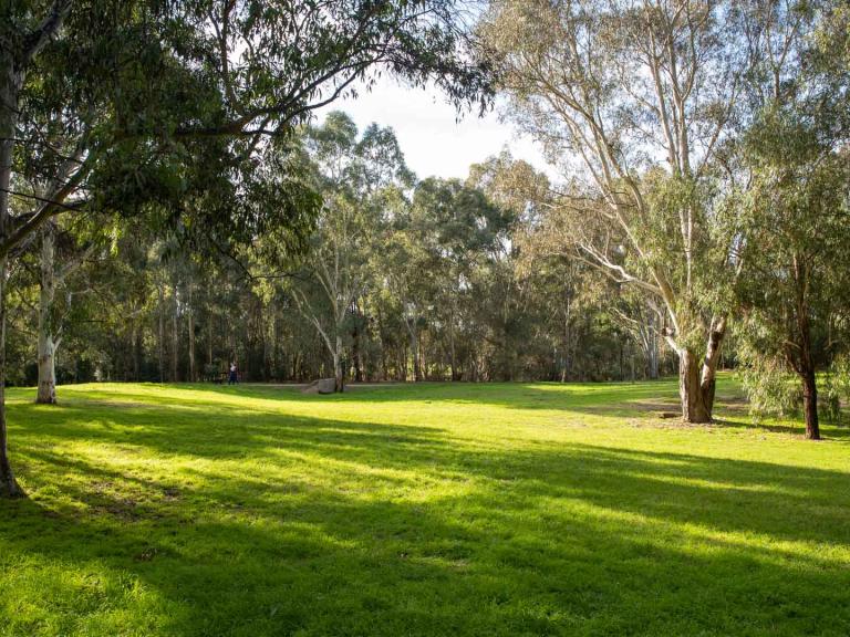 Large grass area with a thick line of mature trees in the distance. Several large trees in the foreground are casting shadows across the grass.