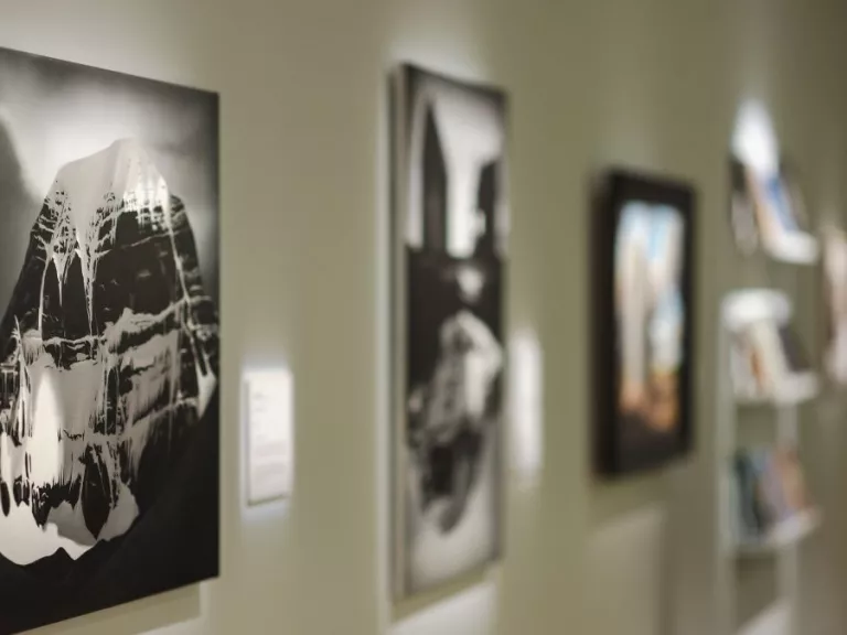 a black and white image of a snowy mountain. A person far off in the background look at artworks