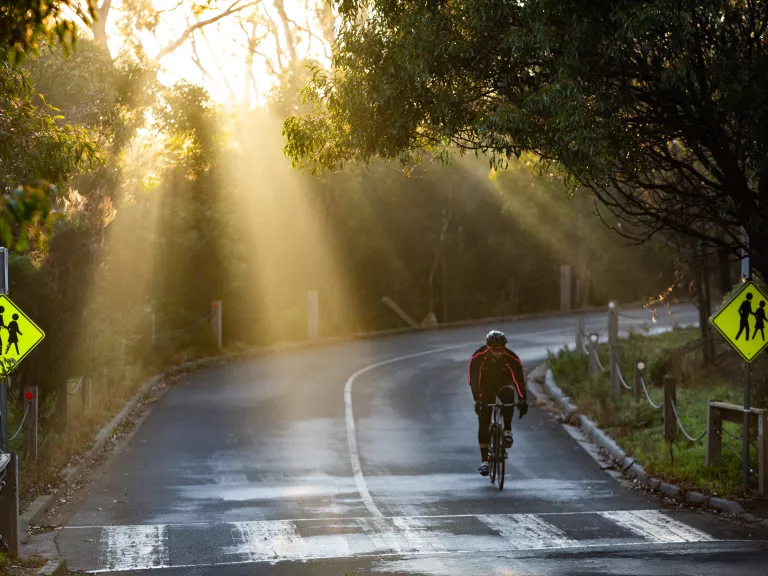 a person on a bike rides up a paved hill with sun streaming down