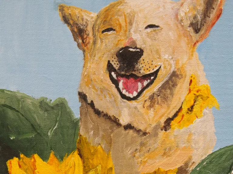 Painting of a light-haired dog, perhaps a kelpie, positioned behind two sunflowers. The dog has its mouth open smiling with its eyes closed, with the sunflowers leaves on either side of it.  The background has a light blue to mid-blue gradient.