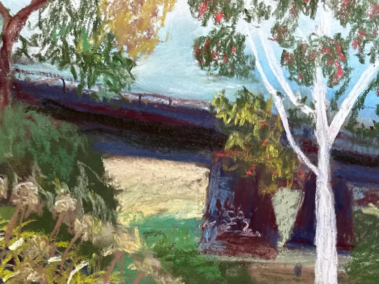 A pastel drawing of a landscape. A white gum tree is in the foreground and a highway bridge is in the background.