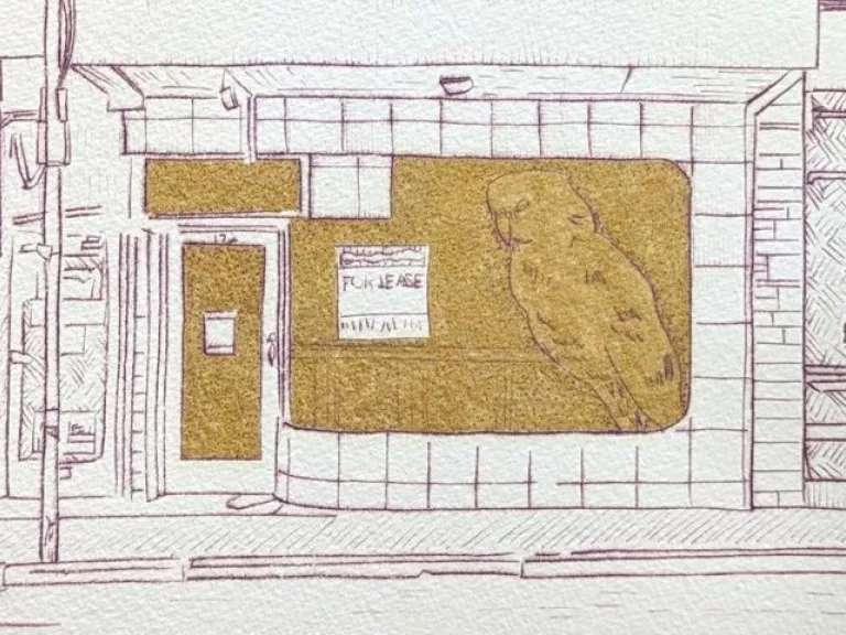 An etching of a shopfront with a bird in the window