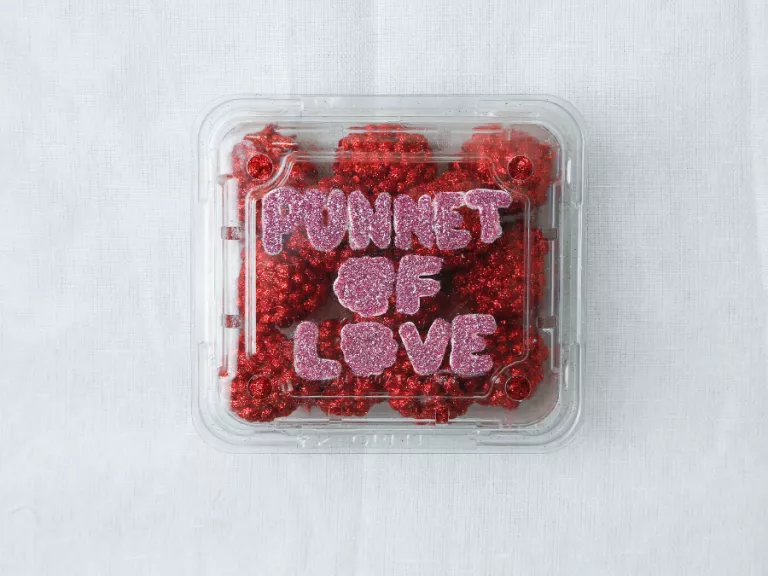 Glitter on Plastic artwork of raspberries in a plastic punnet container saying with the writing 'Punnet of Love' in felt on the top