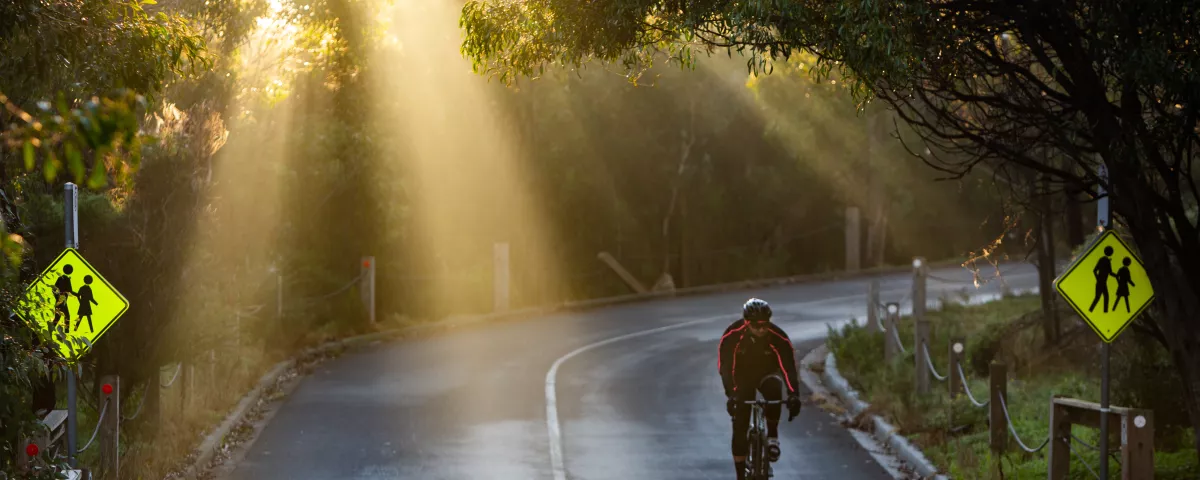 a person on a bike rides up a paved hill with sun streaming down