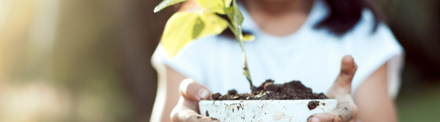 a child holds a pot in which a small plant is growing