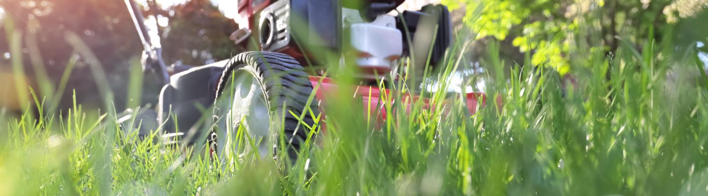 Lawnmower mowing grass