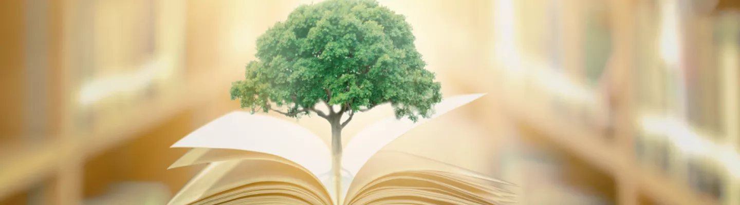 Tree growing out of book