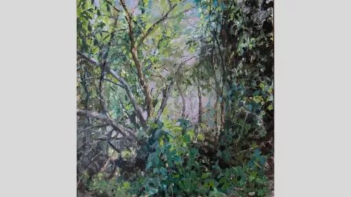 A painting by artist Joe Blundell of the South Studley Park woodland