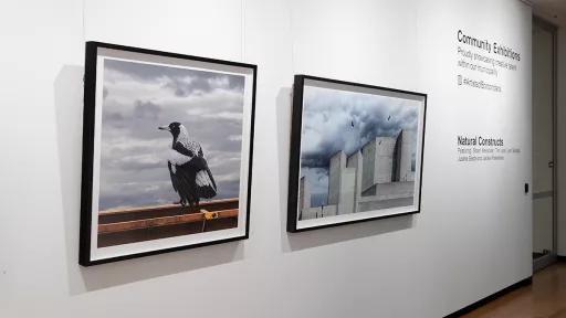 Photographs by Jackie Winkelman, one featuring rectangular grey concrete buildings, the other a magpie sitting on steel railing.