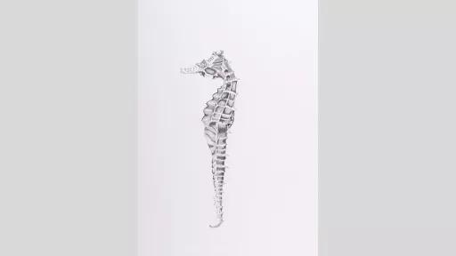 Ink drawing of a seahorse.