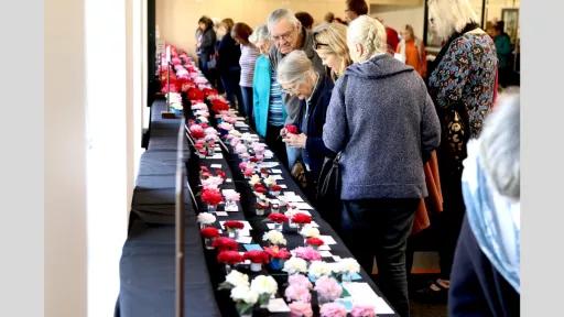 Katherine Olenikov, ‘Camellia Garden and Floral Arts Show, Mount Waverley’, 2019, photographic print, 30.5 x 30.5cm, image courtesy of the artist. Sale price: $175 framed.