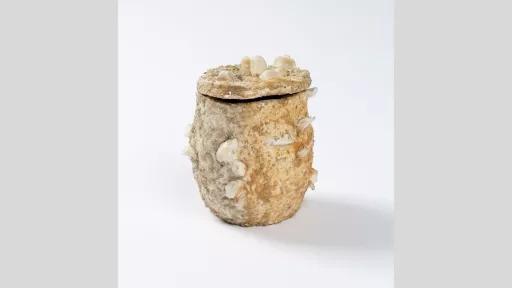 Small textured pot with a lid. Shells are visible, emerging from the sides of the pot.