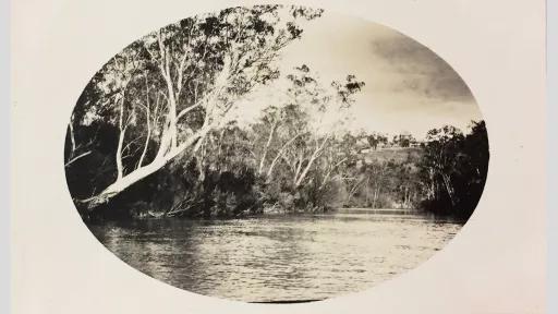 Photo of a flowing river with overhanging trees