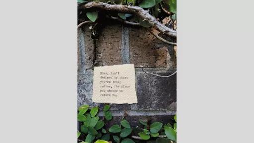 A piece of torn paper with a poem printed from a typewriter, stuck to a brick wall outside with vines and green leaves below and above the paper