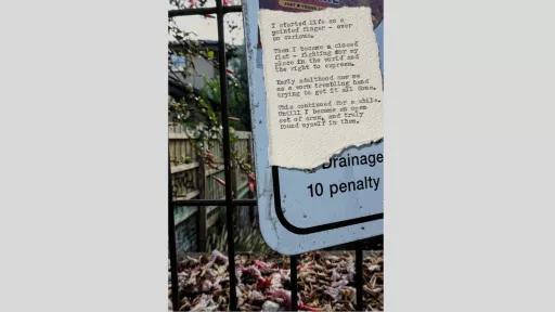 A piece of torn paper with a short piece of text printed from a typewriter, stuck to a sign on a fence outside with a backyard fence and greenery behind it