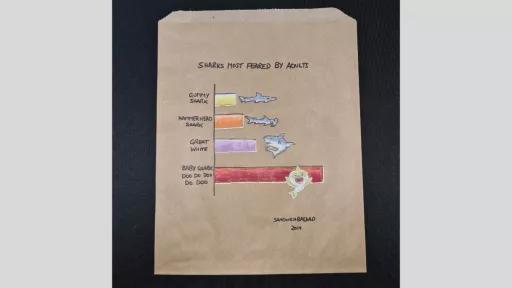 A drawing of a bar graph with the title 'Sharks most feared by adults', and a small bar next to 'Gummy sharks', a slightly larger bar next to 'Hammerhead sharks', a slightly larger bar next to 'Great white', and the largest bar next to 'Baby shark doo do doo do doo'