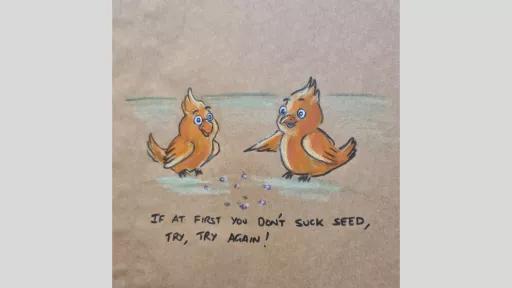 A drawing of two birds eating seeds, and one is saying to the other 'If at first you don't suck seed, try, try again!'