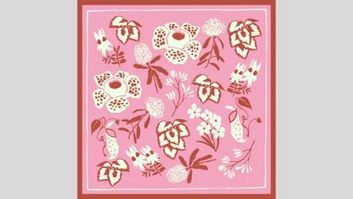 Flowers in white and red on a pink square background with a red border