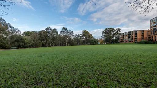 Large grass area with fallen leaves in the foreground. There is a multi-storey apartment block to the far right and tall trees in the distance.