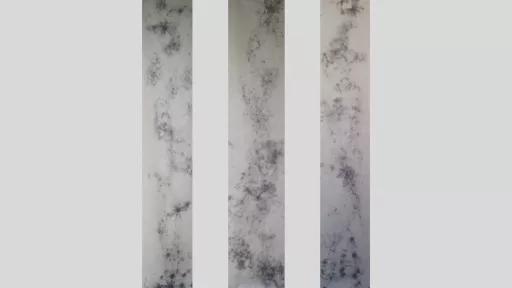 An artwork in 3 vertical strips, showing dark buise-like patterns of marks and lines across a pale surface