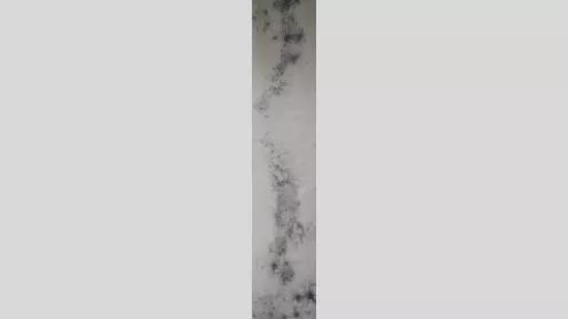 An artwork in a single vertical strip, showing dark buise-like patterns of marks and lines across a pale surface