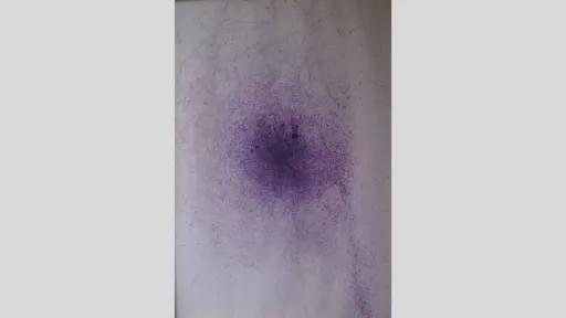 An artwork showing thin and blotted purple ink in eratic penstrokes and small dots on a white canvas, increasing toward a single central area