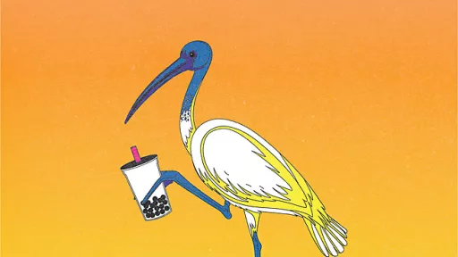 Illustration of an ibis holding a drink cup