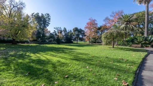 Large grass area with trees around its edge to the left. There is a concrete path to the right, leading to a circular garden with a park bench.