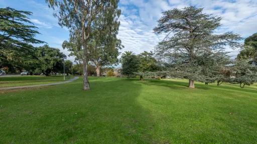 Large slightly sloped grass area with several scattered tall trees. There is a footpath and parked car to the left.