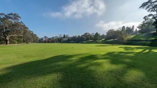 Large grass area with a line of trees to the left and in the distance. There is a path and scattered trees to the right casting shadows in the foreground.