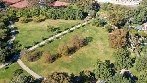 Aerial view of grass area with scattered trees, surrounded by a thick layer of trees. There is a walking path lined with smaller trees through the middle of the grass, and another path to the left.