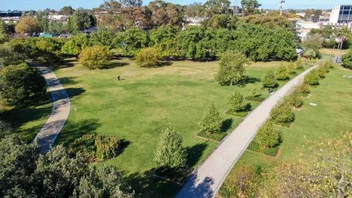 Grass area with a thick layer of trees on its far side. There is a walking path lined with smaller trees through the middle of the grass, and another path to the left. Houses are in the distance.