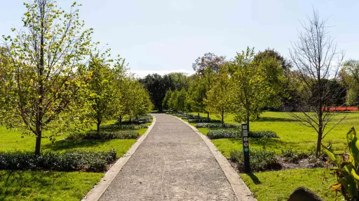 Dirt path with grass and a line of small trees on either side. The path has concrete gutters and a slight left curve at its far end.