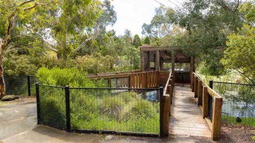 Two wooden foot bridges leading to a covered wooden square structure. There is a black fence and shrub are between the two bridges and many trees in the background.